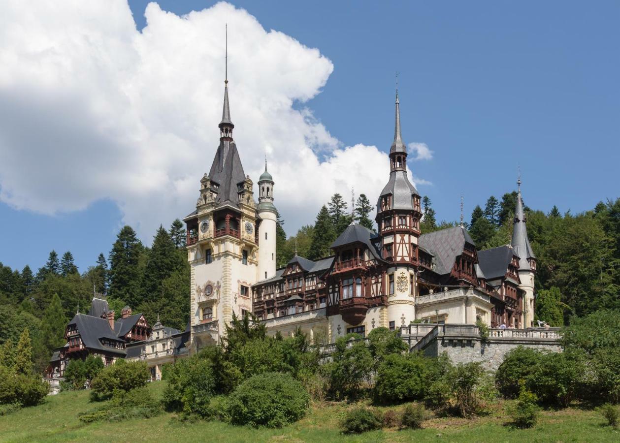 Apartament Mont Blanc Sinaia Eksteriør bilde